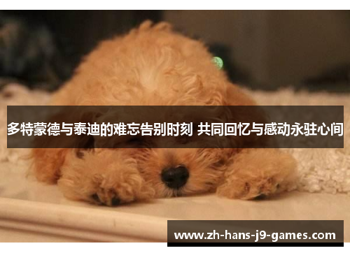多特蒙德与泰迪的难忘告别时刻 共同回忆与感动永驻心间