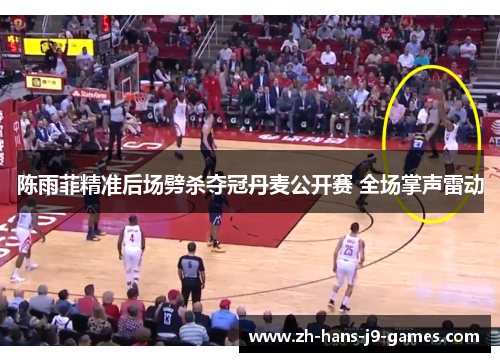 陈雨菲精准后场劈杀夺冠丹麦公开赛 全场掌声雷动 陈雨菲精准后场劈杀夺冠丹麦公开赛 全场掌声雷动